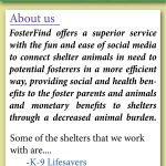 FosterFind About Us snapshot
