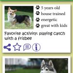 News Feed pet info snapshot