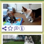 News Feed profile gif snapshot