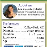 User profile snapshot