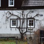 Can you see the face?